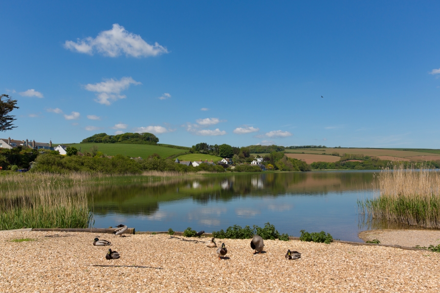 A view of Slapton Ley from Torcross with ducks in the foreground